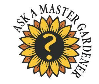 Ask A Master Gardener: Growing onions from seeds | Kingsport Times News
